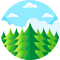 Forest Extension
