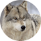 Plugin Icon