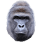 Plugin Icon