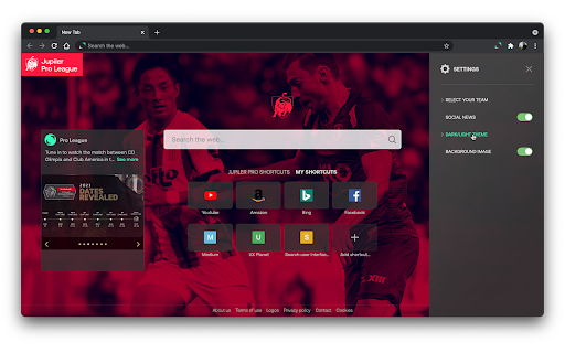 Plugin Screenshot