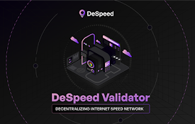 DeSpeed Validator