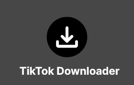 TikTok Downloader | 抖音下载器