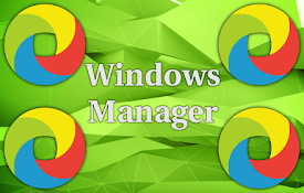 Windows Manager for Google Chrome™