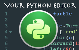 Your Python Editor (Beta)
