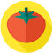 Plugin Icon