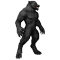 Règles Loup Garou