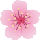 Plugin Icon