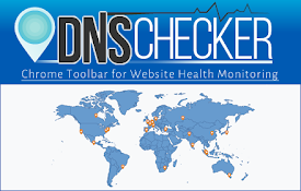 DNS Checker - SEO and Domain Analysis