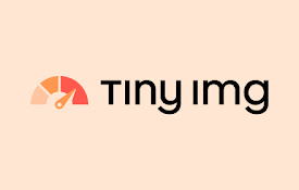 TinyIMG Shopify SEO Extension &amp; Inspector