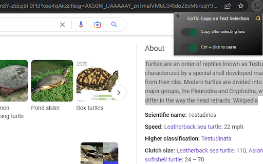 Plugin Screenshot