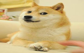 Doge Meet