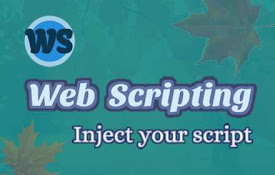 Website scripting
