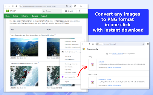 Plugin Screenshot