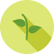 open-in-overleaf