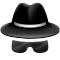 Plugin Icon