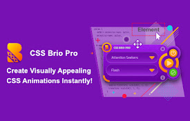 CSS Brio Pro