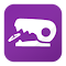 Plugin Icon