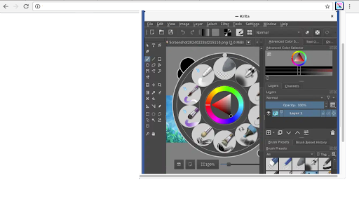 Plugin Screenshot