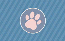 Session Paw: SideWise Tabs Outliner