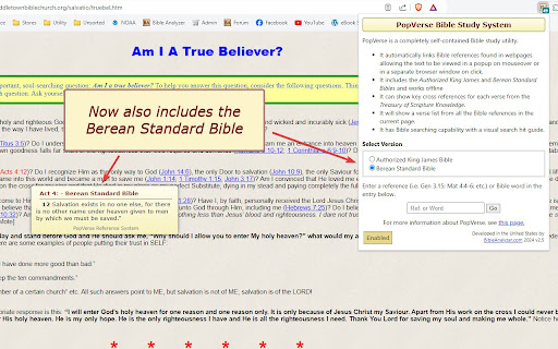 Plugin Screenshot