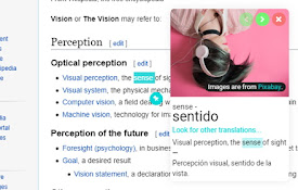 Vision Translate - Smart highlight translator