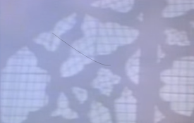 Hair on Screen