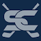 Plugin Icon