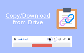 Copy &amp; Download for Drive
