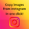 Copy Instagram Images