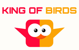 King Of Birds 2 Player Game