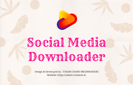Social Media Downloader