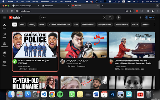 Plugin Screenshot
