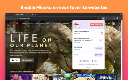Plugin Screenshot