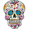 Plugin Icon