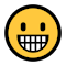 Plugin Icon