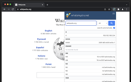 Plugin Screenshot