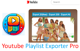 Youtube Playlists Exporter