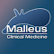 Malleus Extension