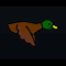 Wandering Duck