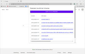 JS Library Detector