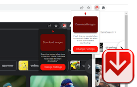 Mass Image Downloader