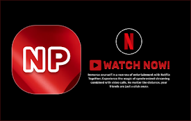 Netflix Party with video call