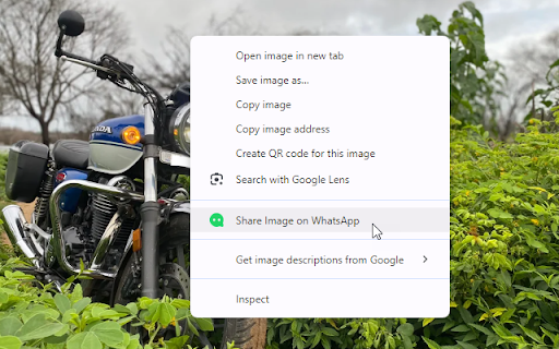 Plugin Screenshot