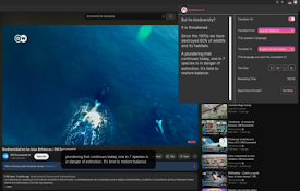 Real-Time Video &amp; Audio Translation