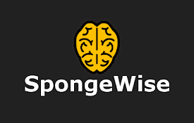 SpongeWise Flashcard Clipper