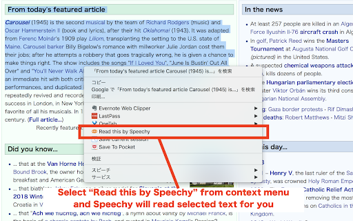 Plugin Screenshot