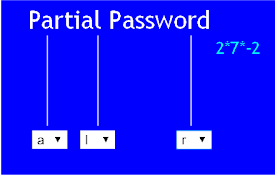 Partial Password