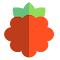 PiHole Browser Extension