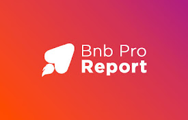 Bnb Pro Report