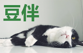 豆伴：豆瓣账号备份工具